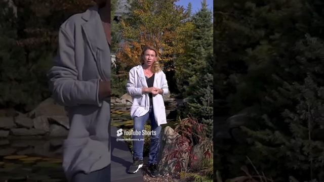 Ель сербская «НАНА». смотреть онлайн