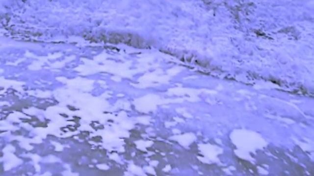 La mort de l'Arctique (Réchauffement climatique) смотреть онлайн
