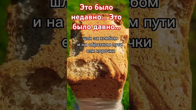 Как давно это было.. #жизнь #сосмыслом #деревня #детство смотреть онлайн