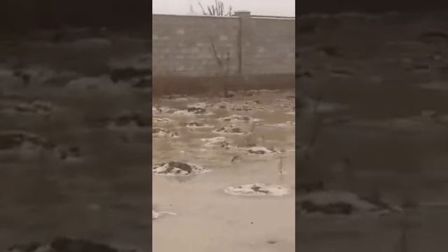 Потоп жетыген смотреть онлайн