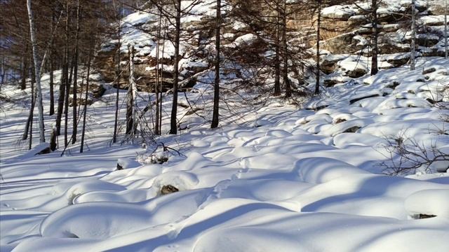 Проверка капканов часть #4,удачно 👍 смотреть онлайн