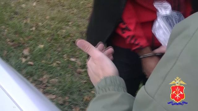 В Кемерове к пяти годам лишения свободы приговорен наркокурьер-иностранец смотреть онлайн