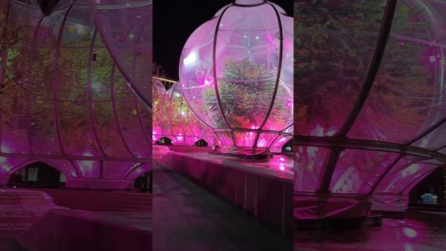 Новогодние шары теплицы на деревьях водопада Инфинити в парке Краснодар смотреть онлайн