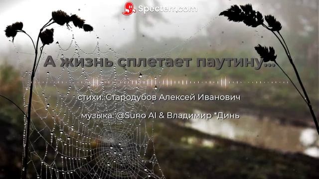А жизнь сплетает паутину. [Russian rock] смотреть онлайн