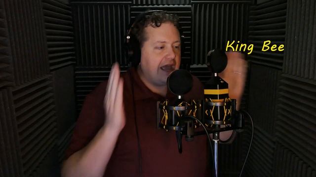 Neat Microphones King Bee vs Worker Bee Microphone - Sound Speeds Review смотреть онлайн