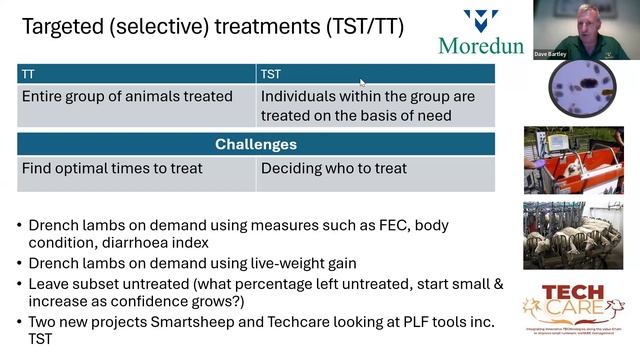The importance of understanding and controlling parasites in sheep смотреть онлайн