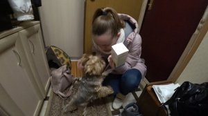 ВЛОГ РАЗБОЛЕЛАСЬ / ДОЧЬ С БАБУШКОЙ / Реклама это ИСКУССТВО ! / Шутки Бориса 5-9 января 2020 г.