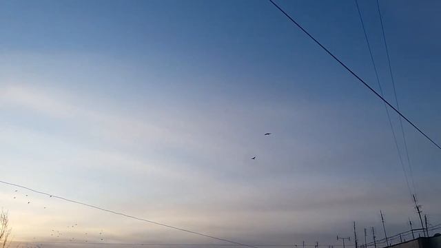 ВОРОНЬЕ ПАЛОМНИЧЕСТВО НА ЗАКАТЕ смотреть онлайн