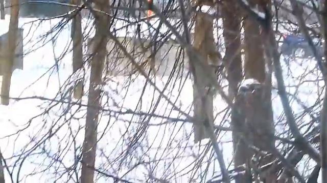 Снегири под моим окном ТатьянArt смотреть онлайн