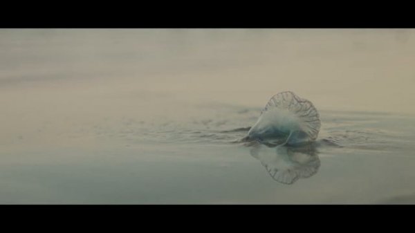 Gran Canaria (Black Magic Pocket Cinema Camera Original)