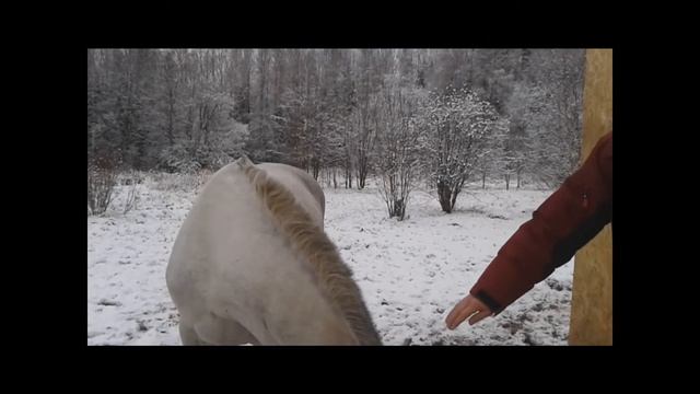 Мой фильм СВОБОДА смотреть онлайн