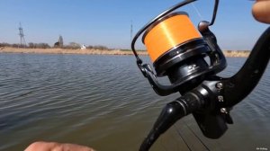 Рыбалка на сазана и карпа весной 2024 и прикормка зелёная чеснок