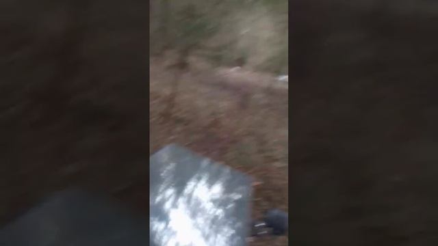 Минитрактор против бревна #своимируками #самоделки #лес #деревня #техника #сельхозтехника смотреть онлайн