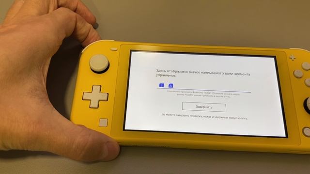 Switch Lite