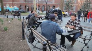 Битва подушкам и другие зарисовки из жизни Нью-Йорка.