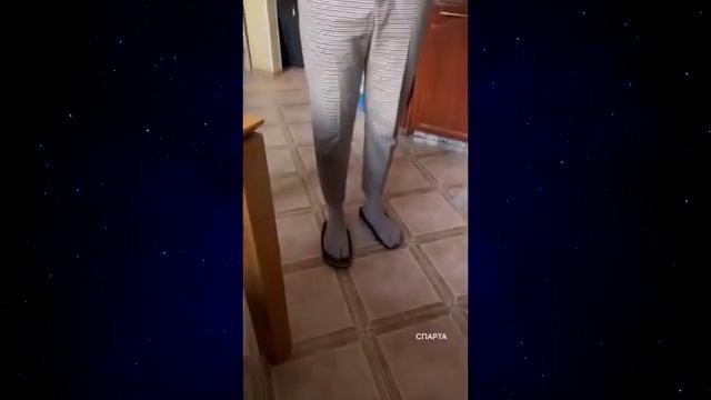 прикольный юмор смотреть онлайн