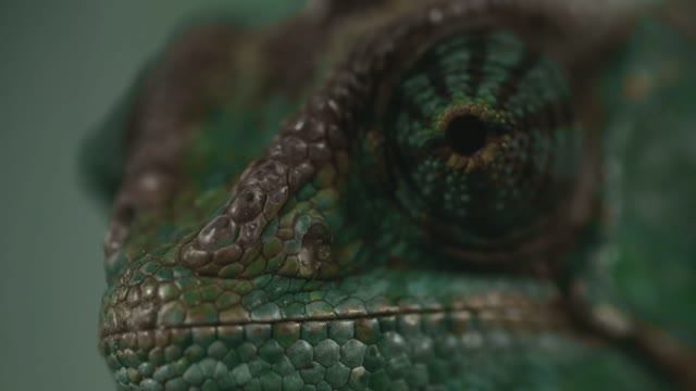 Официальная распаковка Xiaomi 14 снятая нашей командой смотреть онлайн