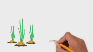 Мультик про овощи и фрукты. Развивающие мультики для детей до 4 х лет.