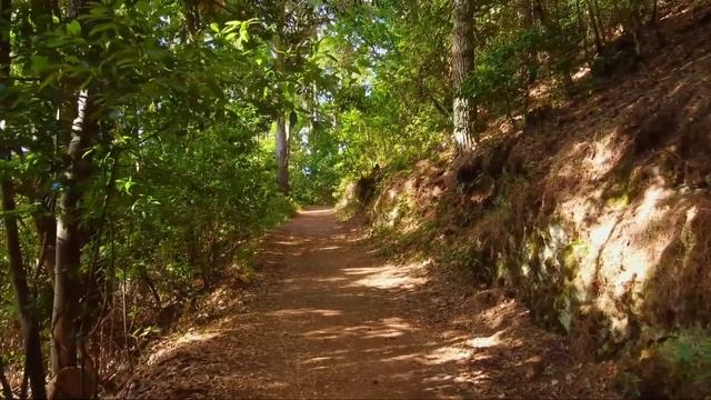 Наследник от бывшего 👩❤️👨  Часть 8.  #любовьмоя #историялюбви #бывший