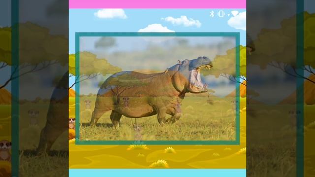 Загадки про тварин теплих країн.