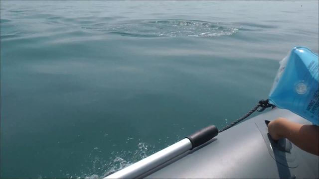 Черное море, Абхазия ,погоня за дельфинами. смотреть онлайн