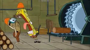 Губка Боб новые серии