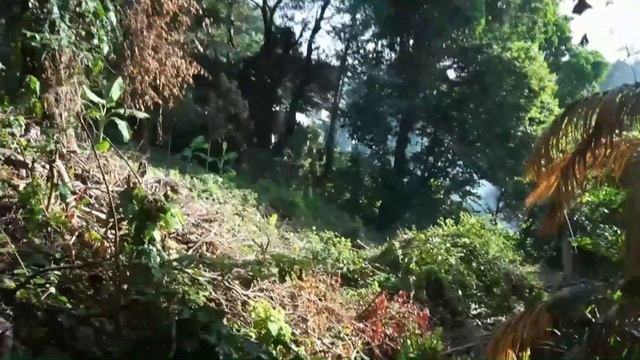 Thailand Travel Ep. 56 Thailand Confidential Karon Beach Hiking Trail смотреть онлайн