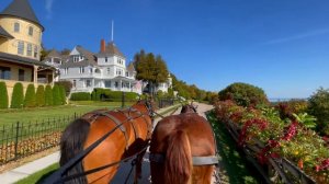 Осенняя поездка на карете на острове Макинак | Успокаивающий стук лошадиных копыт на тихой тропе