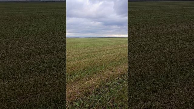 Супер футбольное поле ☺️