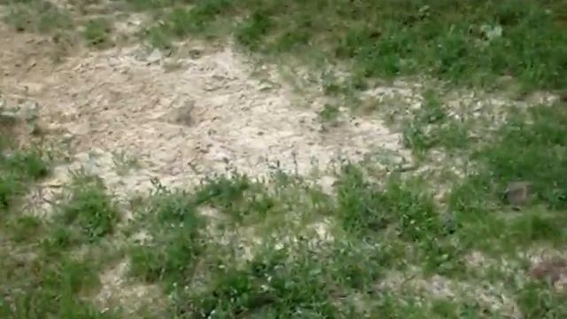 Дизель пуск 2010 смотреть онлайн