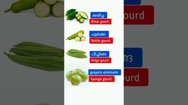 English words #vocabulary #gk смотреть онлайн