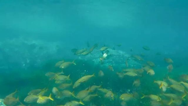 Cabo de Gata Cala del Embarcadero parte 2 смотреть онлайн