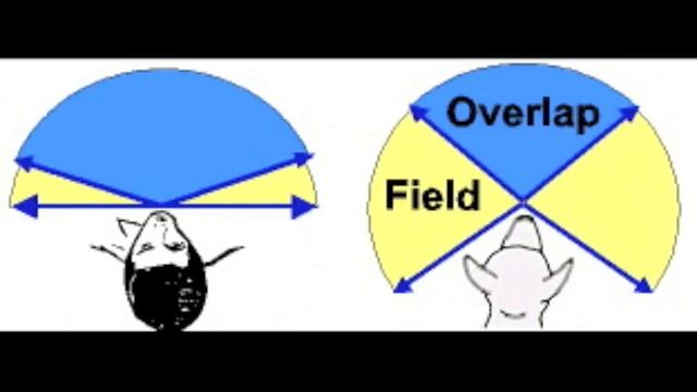 How Mercury Poisoning Affects the Brain смотреть онлайн
