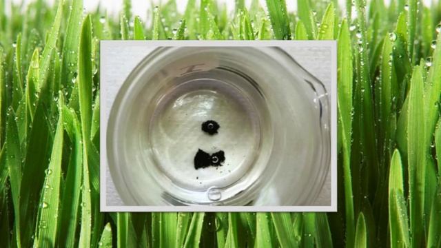 Granusol Fe Sucrate in Action смотреть онлайн