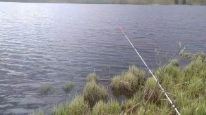 🔥Клев как с пулемёта🔥 💥"не успеваю снимать"💥