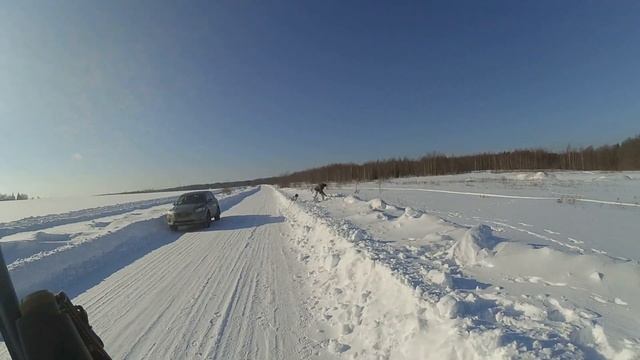 Стрельба по тарелочкам, закрытие охоты 23. 02. 2023г. смотреть онлайн