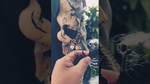 removing scorpion and Centepede,on the eye scary props#trending #shortvideo #scary #short смотреть онлайн