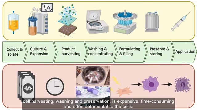 PhD Thesis Pitch: Applying Microfluidics in the Industrial Production of Stem Cells - Lin Ding смотреть онлайн