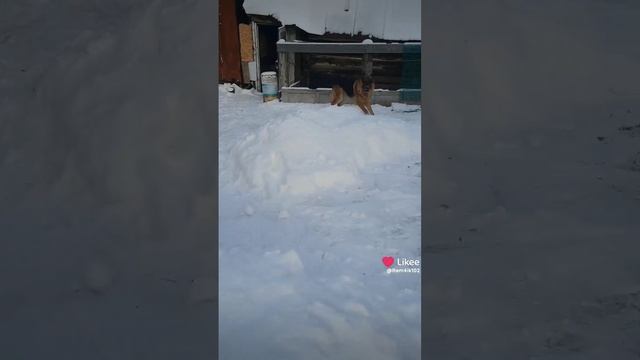Зима - холода смотреть онлайн
