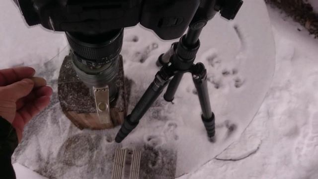 супер-макро объектив из китового 18-55 canon смотреть онлайн