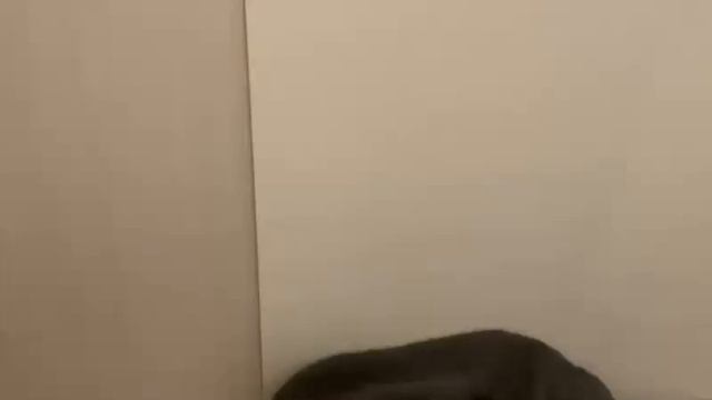 16 ธันวาคม 2567 ดื่มเยอะๆ ก่อนนอน (:3 ヽ) (Lv346549386) นิชิโนะ อาซาอิ смотреть онлайн