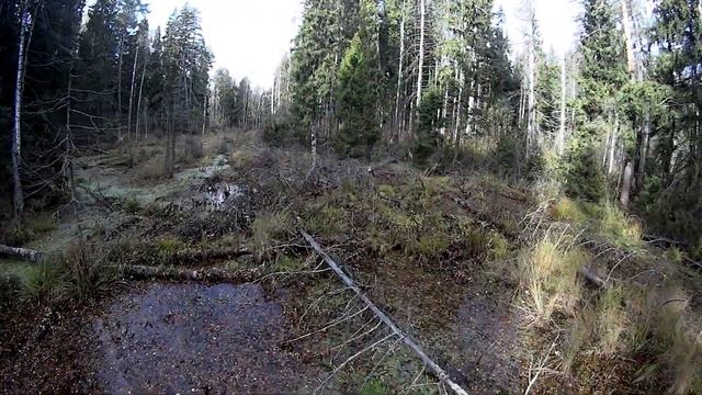 краски Осени / видеосалат смотреть онлайн