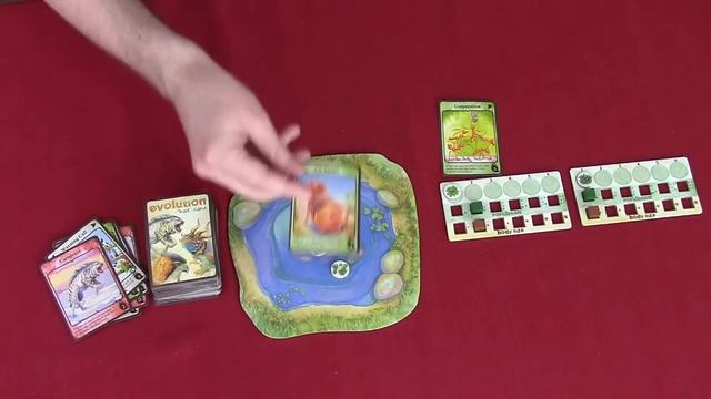 How To Play: Evolution
