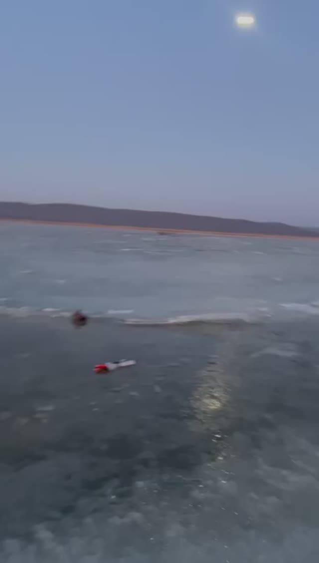 ЧП на рыбалке первый лёд Тавричанка. #shorts смотреть онлайн