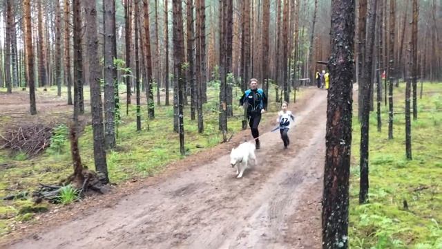 Ездовой спорт. Драйлэнд. Детские старты смотреть онлайн