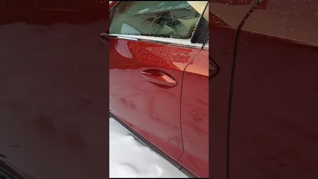 WhatsApp Video 2024-12-18 at 14.48.30 смотреть онлайн