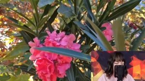 Попросив жену не ходить на юбилей свекрови, муж пошел на банкет с любовницей. Но жена решила...