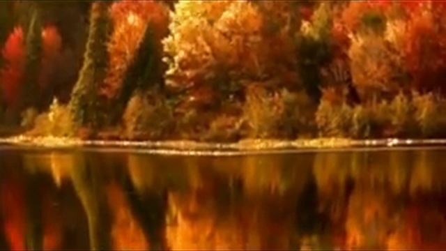 " Осень" - исполняет Ася Белых смотреть онлайн