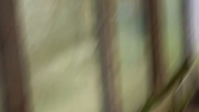 Отбил от Лёхи. смотреть онлайн