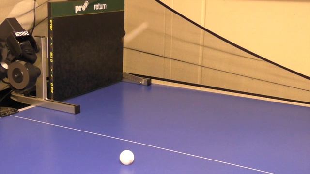 PALIO WP1013 OX (MEDIUM)